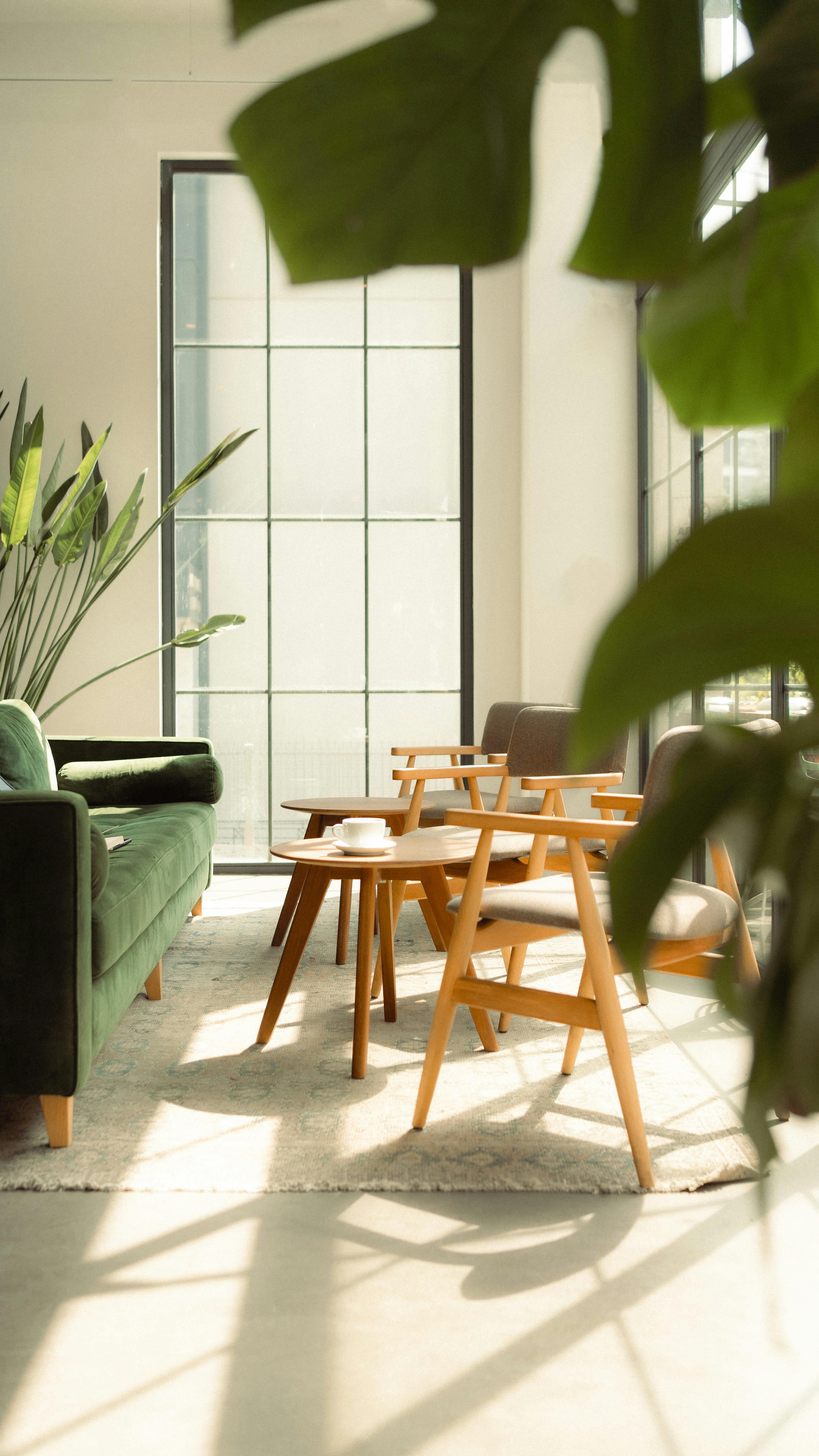 The Botanical Ritual