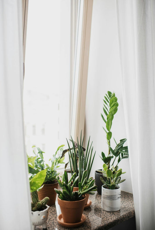 Weekend Refresh – Candle & Room Spray Pair