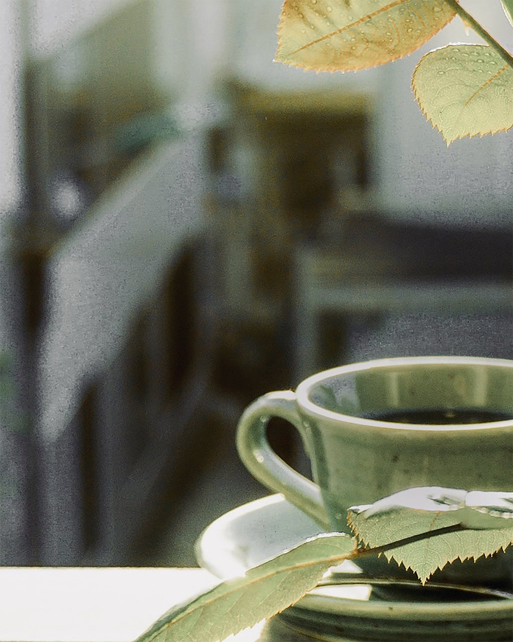 Limited Edition Green Tea Ginger Candle