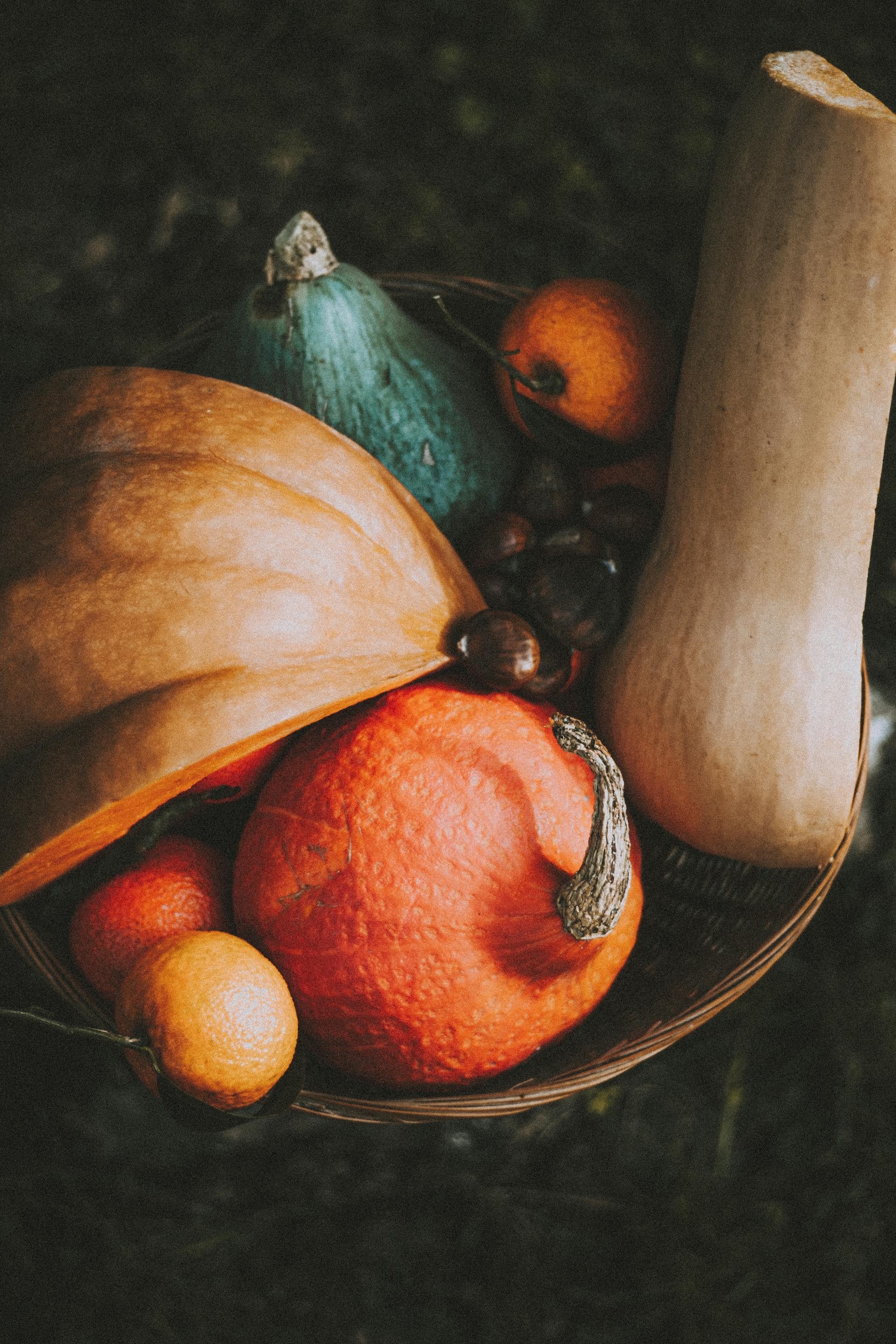 Limited Edition Pumpkin Amberwood Candle - KIHO NEW YORK