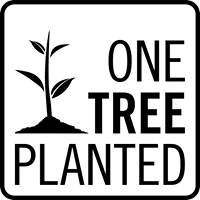 Tree to be Planted - KIHO NEW YORK